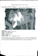 Donna and her Joey enjoy save the koala day. - Vintage Photograph