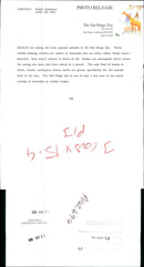 Koala Bear - Vintage Photograph