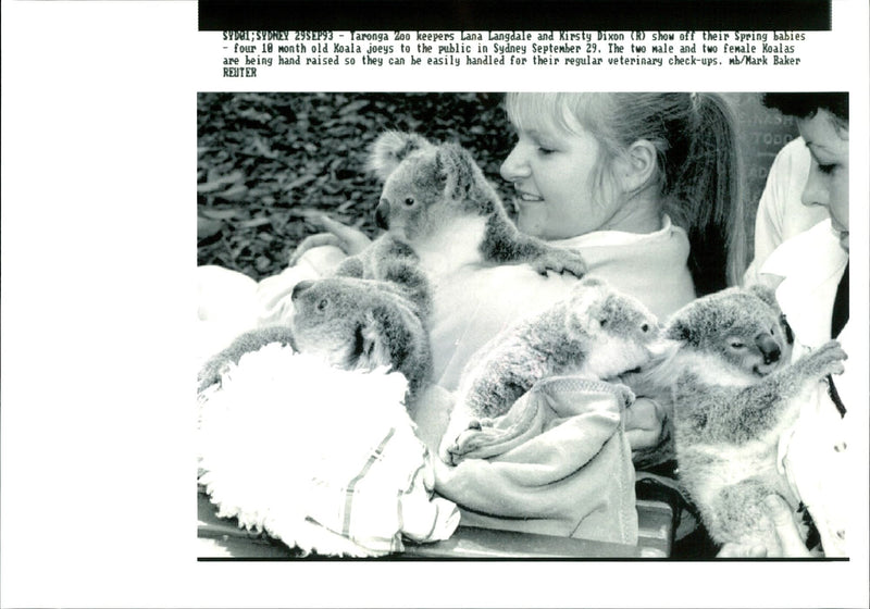 Lana langdale and Kirsty Dixon holding Koala Bear - Vintage Photograph