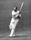 Jack Hobbs - Vintage Photograph