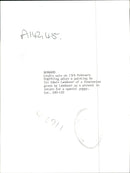 Pomeranian Dog. - Vintage Photograph