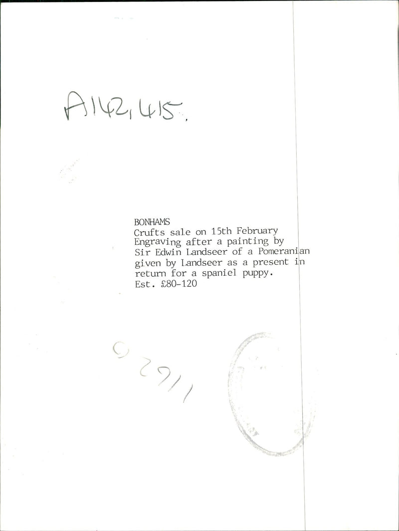 Pomeranian Dog. - Vintage Photograph