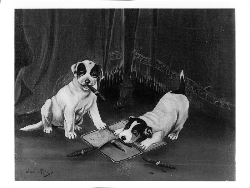 Two Dogs. - Vintage Photograph