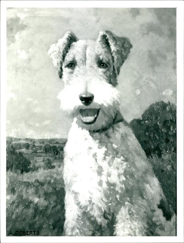 Dog. - Vintage Photograph