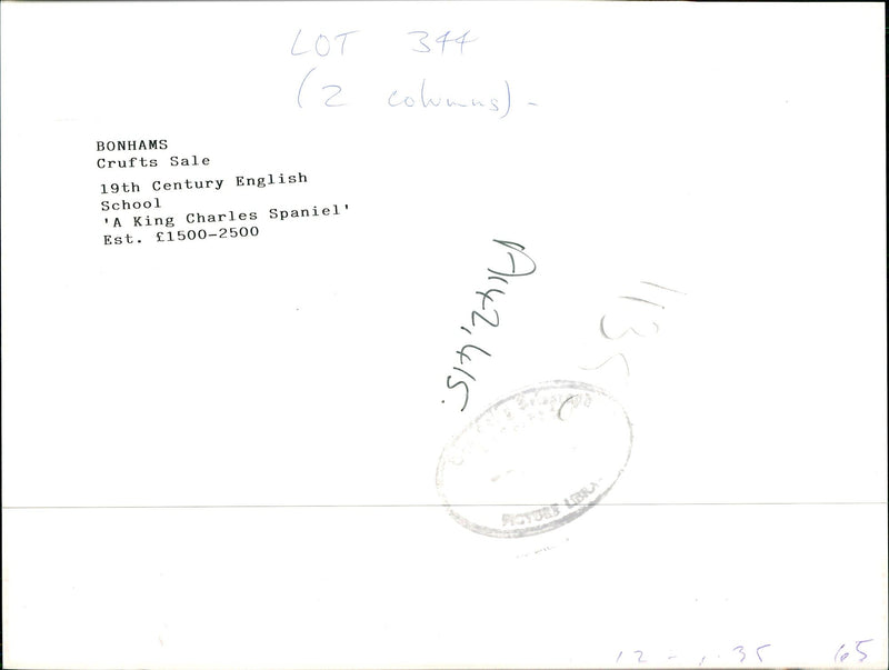 A King Charles Spaniel Dog. - Vintage Photograph