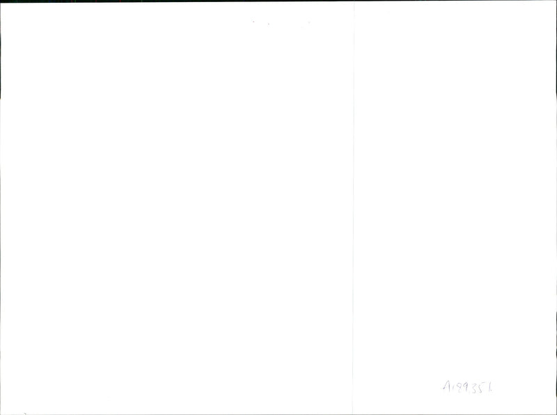 Simon Bridges - Vintage Photograph