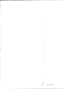 A person with two dogs. - Vintage Photograph