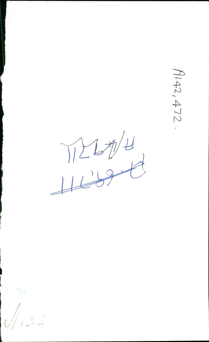 Otter - Vintage Photograph