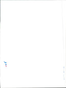 Otter - Vintage Photograph