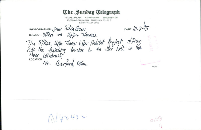 Otter - Vintage Photograph