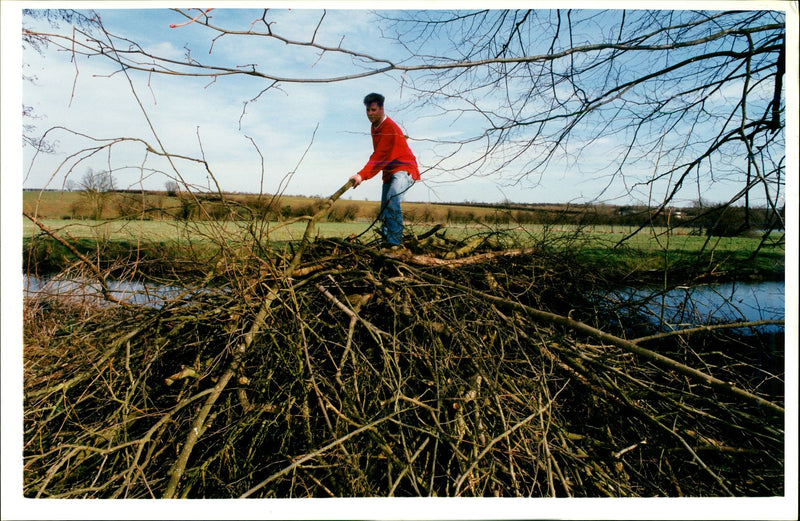 Otter - Vintage Photograph