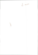 Otter - Vintage Photograph