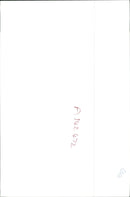 Otter - Vintage Photograph