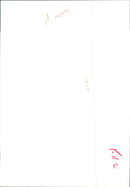 Otter - Vintage Photograph