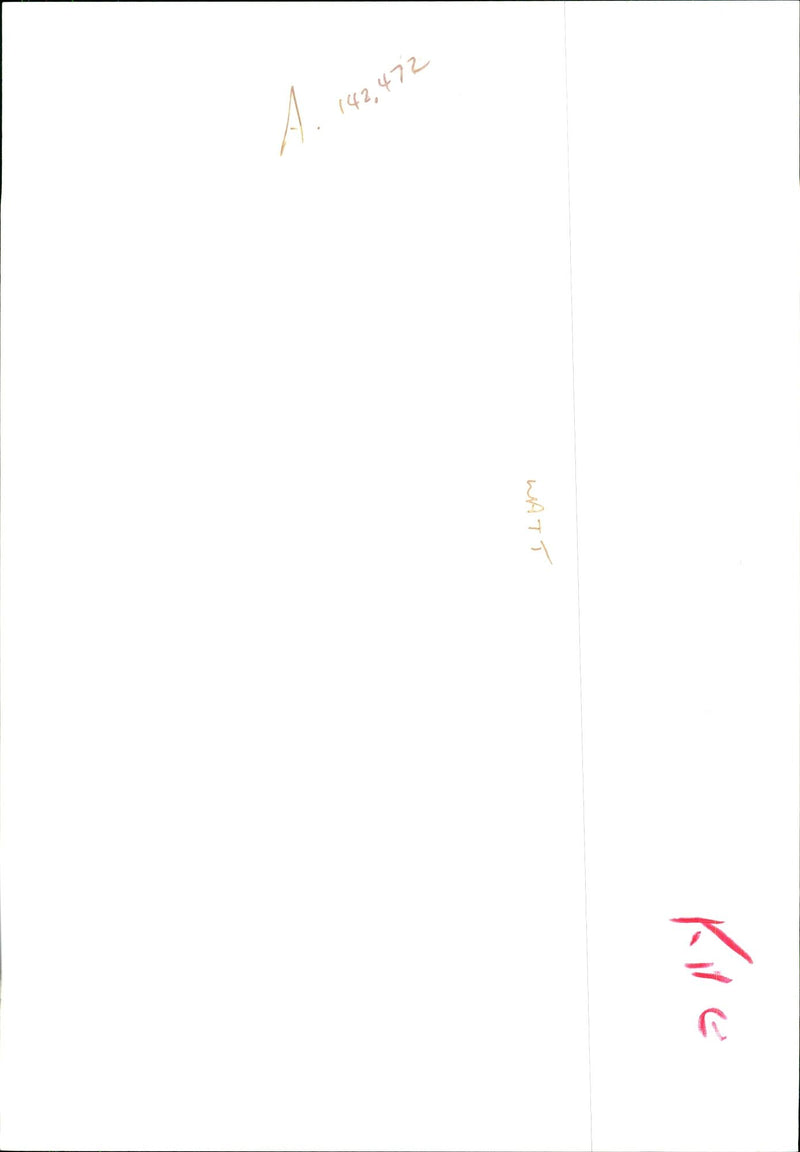 Otter - Vintage Photograph