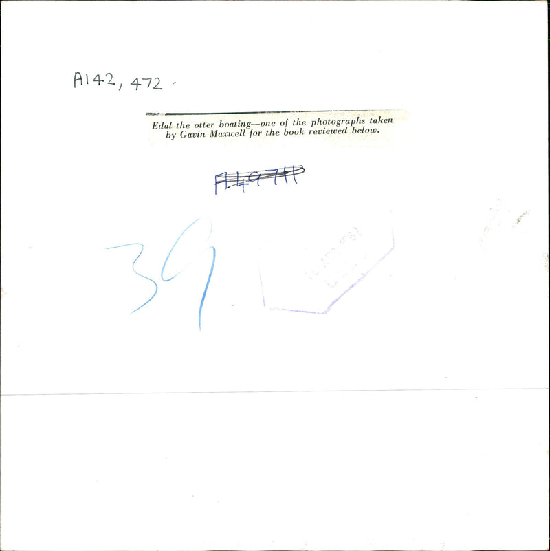 edal The otter Boating. - Vintage Photograph