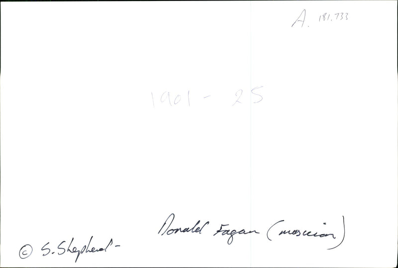 Donald Fagen, American musician - Vintage Photograph