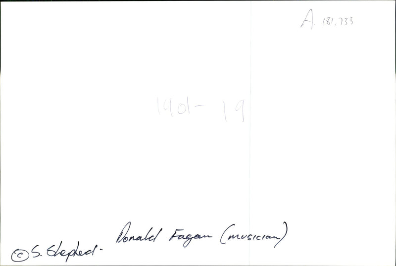 Donald Fagen, American musician - Vintage Photograph