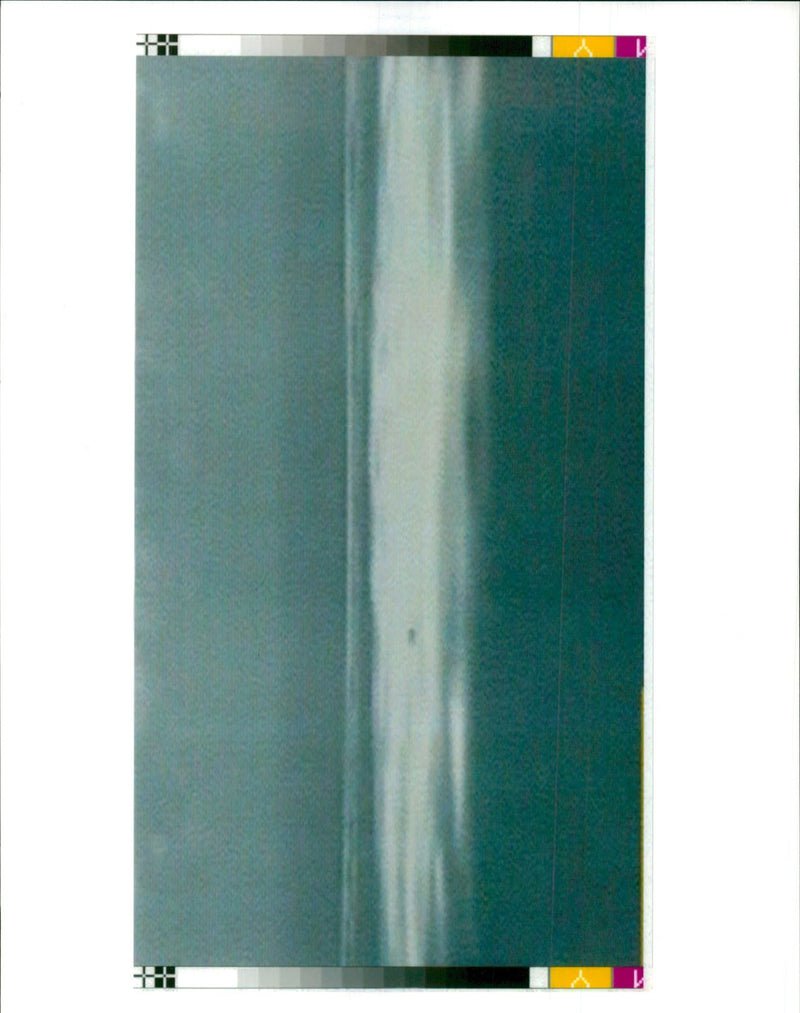 1995 WRITER FRANCE COUNTRY FRENCH - Vintage Photograph