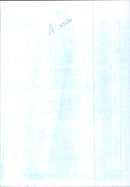 Laura Tyson wwith Clinton. - Vintage Photograph