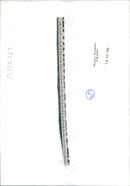 Emanuel and Laura Ungaro. - Vintage Photograph