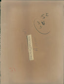 American Tanks - Vintage Photograph