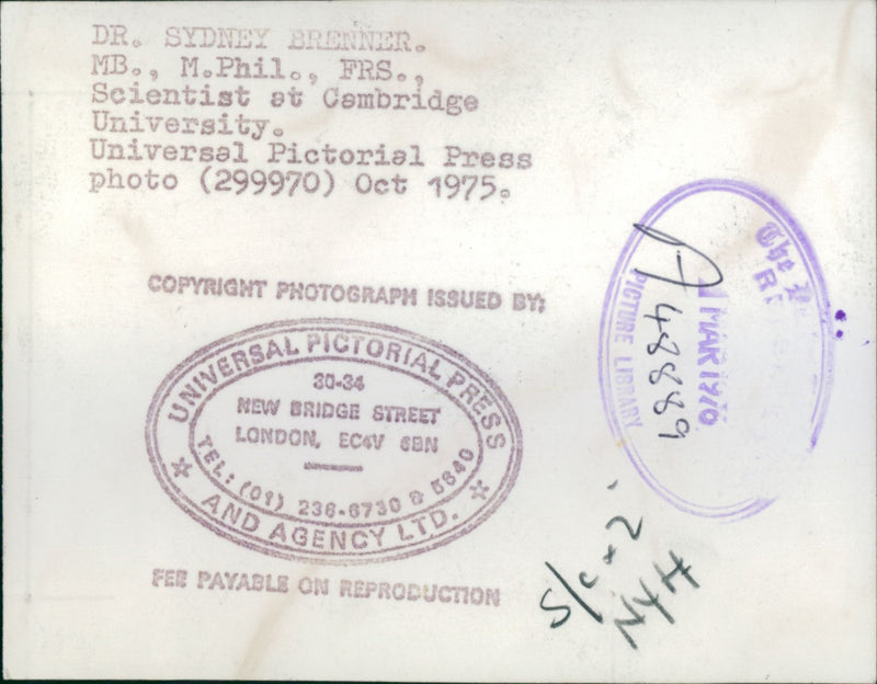 Dr Sydney Brenner a scientist at Cambridge University. - Vintage Photograph