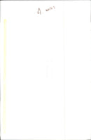 Dogs Bull Terriers - Vintage Photograph