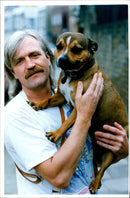 Dogs Bull Terriers - Vintage Photograph