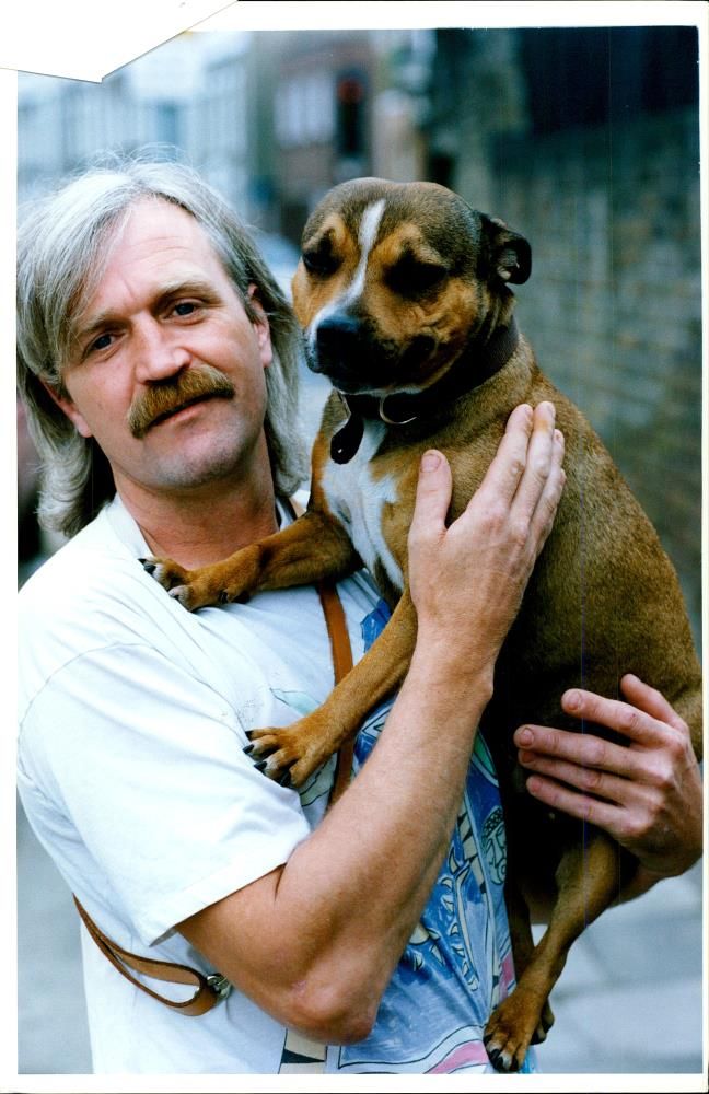 Dogs Bull Terriers - Vintage Photograph