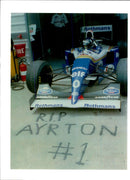 Damon Graham Devereux Hill. - Vintage Photograph