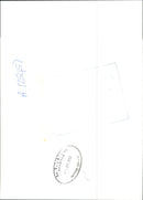 New Zealand: Sheep Farming - Vintage Photograph