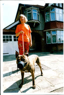 Dogs Bull Terriers - Vintage Photograph