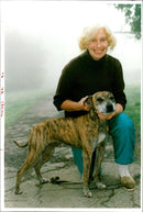 Dogs Bull Terriers - Vintage Photograph