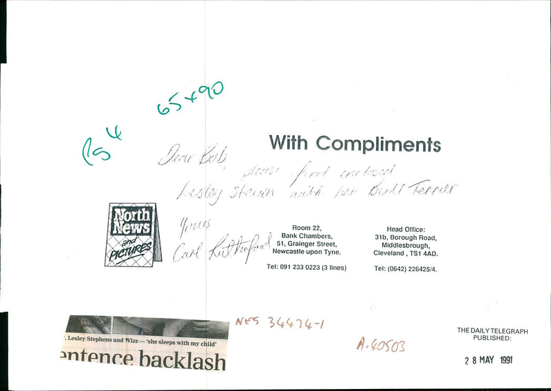 Dogs Bull Terriers - Vintage Photograph