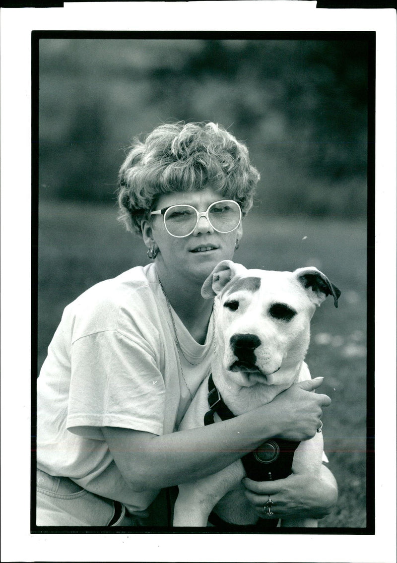 Dogs Bull Terriers - Vintage Photograph