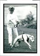 Dogs Bull Terriers - Vintage Photograph