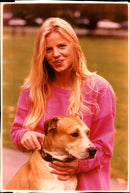 Dogs Bull Terriers - Vintage Photograph