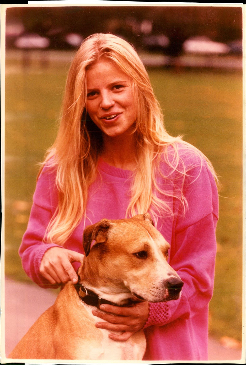 Dogs Bull Terriers - Vintage Photograph