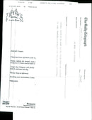 Dogs Bull Terriers - Vintage Photograph