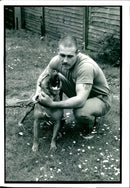 Dogs Bull Terriers - Vintage Photograph