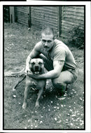 Dogs Bull Terriers - Vintage Photograph