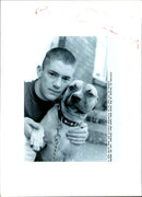 Dogs Bull Terriers - Vintage Photograph