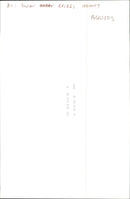 Dogs Bull Terriers - Vintage Photograph