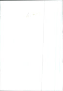 Dogs Bull Terriers - Vintage Photograph