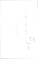 Dogs Bull Terriers - Vintage Photograph