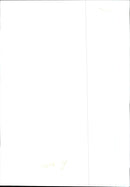 Dogs Bull Terriers - Vintage Photograph