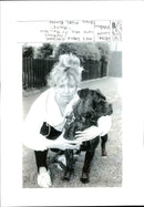Dogs Bull Terriers - Vintage Photograph