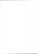 Dogs Bull Terriers - Vintage Photograph