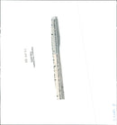 Dogs Bull Terriers - Vintage Photograph